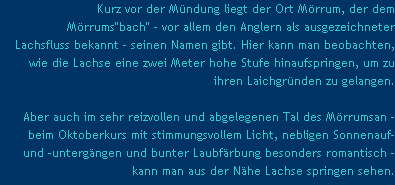 Kurz vor der Mndung..